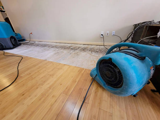 Professional Flood Damage Cleanup technician working in Mashantucket, CT